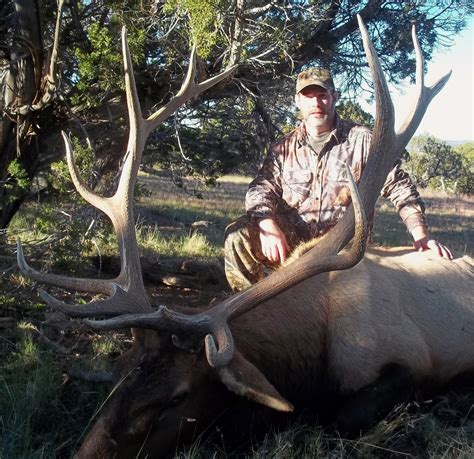 Its not uncommon for our hunters to go home with 370"-380" class bulls. . Diy elk hunt new mexico